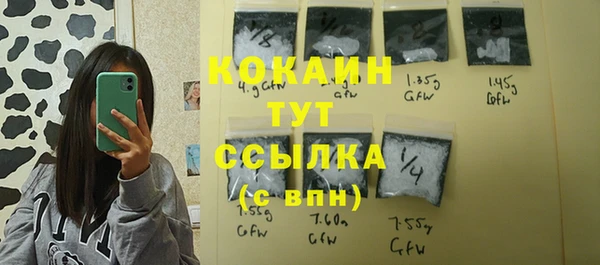 прущие грибы Аркадак