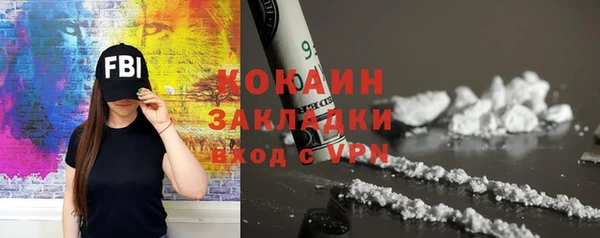 прущие грибы Аркадак
