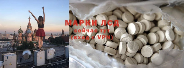 прущие грибы Аркадак