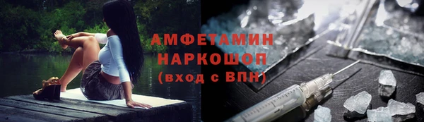 прущие грибы Аркадак