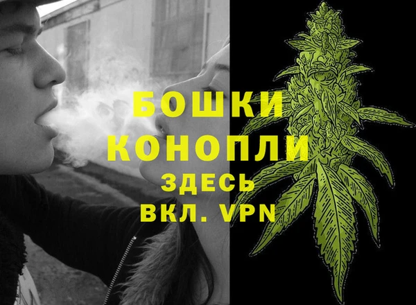 прущие грибы Аркадак