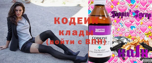 прущие грибы Аркадак