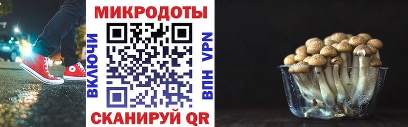 Галлюциногенные грибы MAGIC MUSHROOMS  Салават 